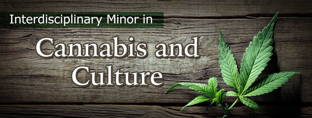 Interdisciplinary Minor in Cannabis & Culture