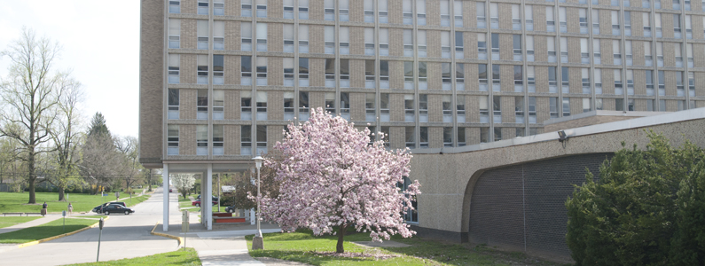 WIU Rotating Banner