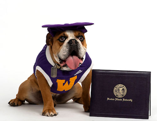 mascot Ray wearing a graduation cap