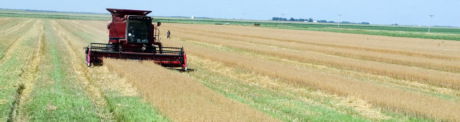 Combine harvesting a field
