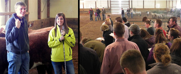 Livestock Judging Livestock Center