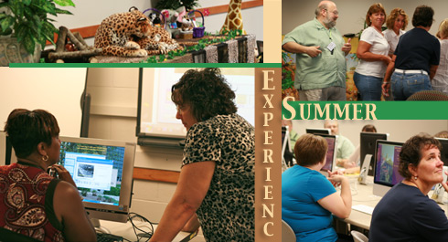 Summer Experience 2011