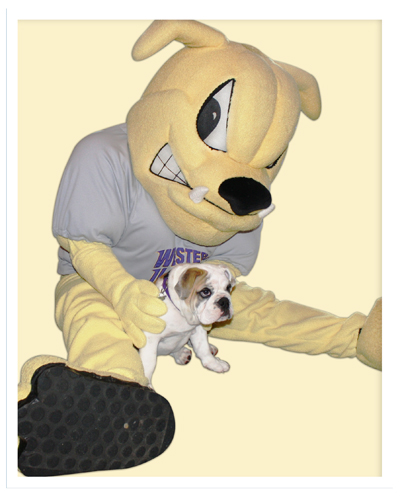 Special Events at Western Illinois University