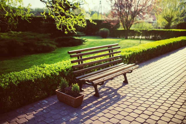 park bench with bushes nearby