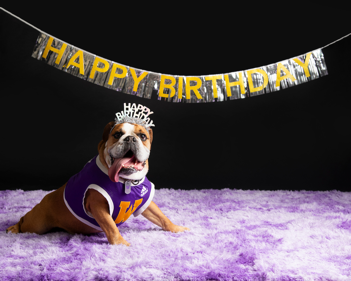 WIU to Celebrate Ray s Sixth Birthday Feb. 14 WIU News