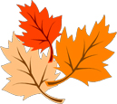 Register NOW for Fall!