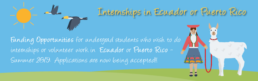 internships-scholarships