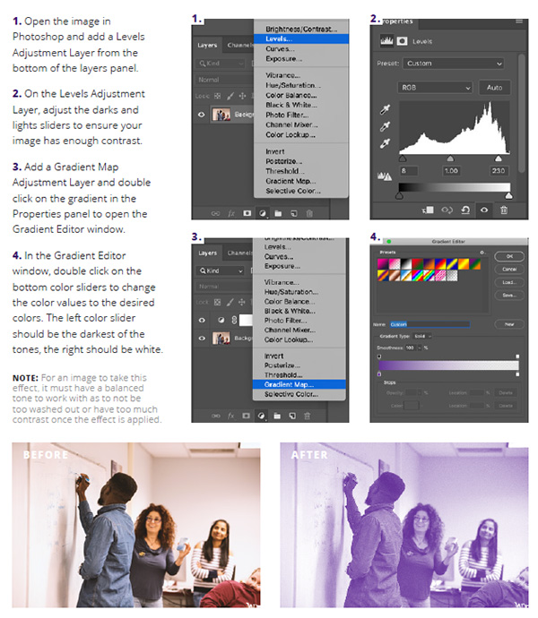 directions to apply monotone effect