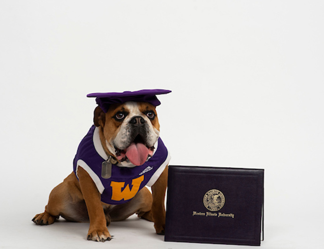 Mascot Ray wearing a graduation cap