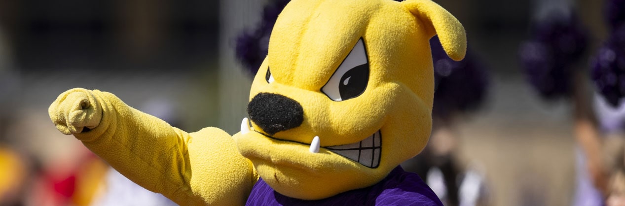 Rocky mascot on the field