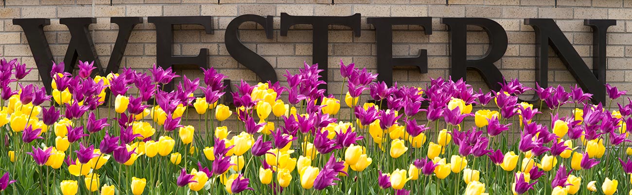 WIU sign and tulips